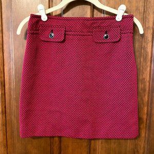 Ann Taylor Loft Skirt